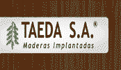 TAEDA S.A.