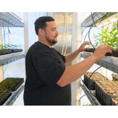 A province has just created its own �laboratory� of native trees