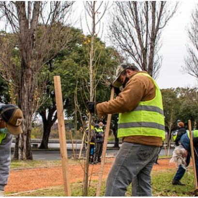 Invertir en �rboles