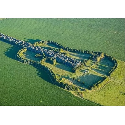 La guitarra de �rboles que solo se ve desde el aire: la historia de amor detr�s del homenaje m�s conmovedor de C�rdoba