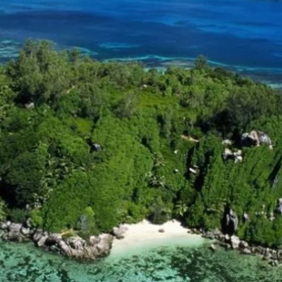 Compr� una isla desierta, plant� 16.000 �rboles y la convirti� en un santuario �nico que conquist� al mundo