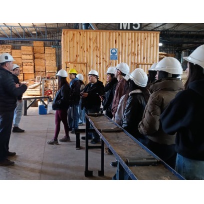 Arquitectos e ingenieros podr�n especializarse en construcci�n con madera: abren inscripciones a diplomatura con 30 medias becas