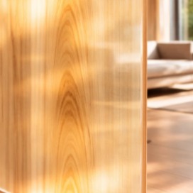 Madeira transparente: o material do futuro que come�a a despertar interesse em Mar del Plata