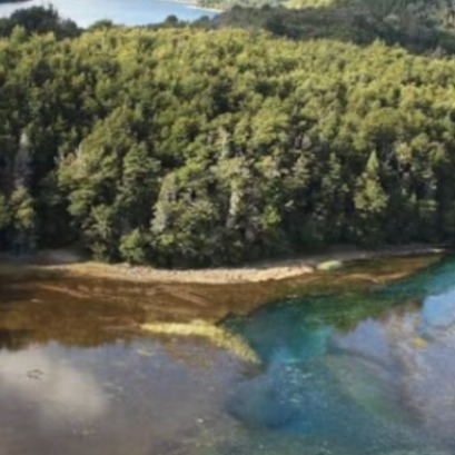 O fabuloso Parque Nacional da Patag�nia com a �rvore mais antiga da Argentina