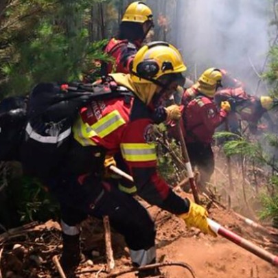 M�s de 60 mil hect�reas de bosques quemadas en los �ltimos meses
