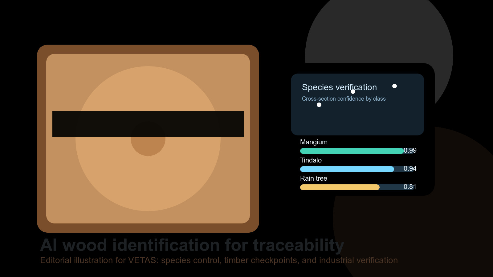 IA para identificar madera: una nueva frontera para la trazabilidad industrial