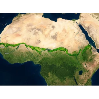Uma parede verde: o plano que 11 pa�ses africanos t�m para impedir o avan�o do deserto do Saara