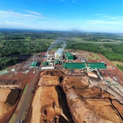 Buenos Aires: CAI e CPIA organizam semin�rio para abordar a atualidade do setor florestal argentino