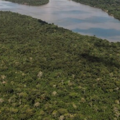 Brasil registr� el menor n�mero de deforestaci�n de la selva atl�ntica en 40 a�os