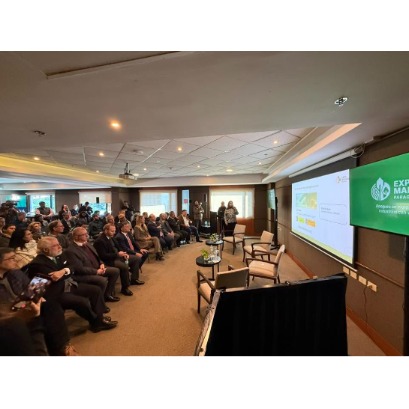 Expo Madera Paraguai 2026 reunir� investidores da Su�cia, Jap�o, Brasil, Uruguai e Chile: o setor florestal se posiciona como um dos motores do desenvolvimento do pa�s