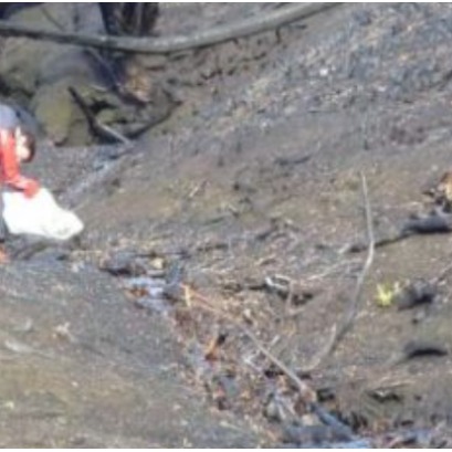 Investigadoras del CONICET determinaron el impacto de los incendios forestales andino-patag�nicos en los cuerpos de agua