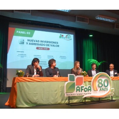 AFoA 80 anos | Competitividade e investimentos: afirmam que o salto global do setor florestal exige efici�ncia e coordena��o p�blico-privada
