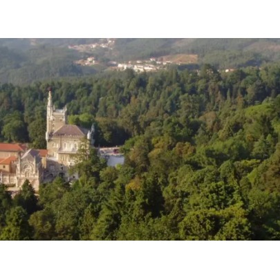 A Mata do Bussaco (Portugal) torna-se oficialmente a primeira floresta terap�utica certificada em toda a Pen�nsula Ib�rica