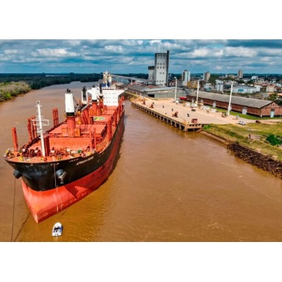 Entre R�os: navio carregar� 30 mil toneladas de rolos de madeira de pinus e eucalipto com destino � �ndia a partir do Porto de Concepci�n, no Uruguai