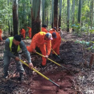 Formaron a 120 operarios del Grupo Garab� para la respuesta inicial ante incendios forestales