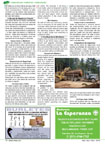 P&aacute;gina 18