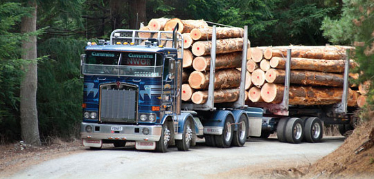 Actividad Forestal: Las operaciones de transporte